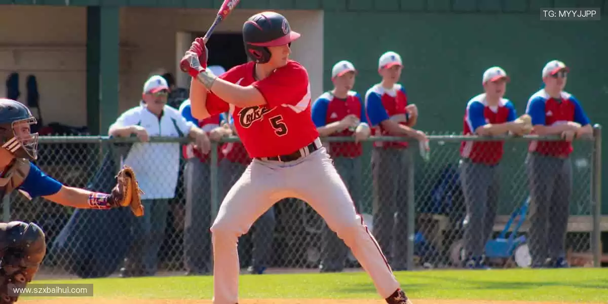 高清画质,畅享赛事!🎥🏒