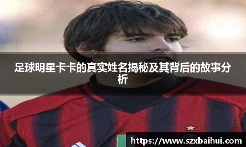 bsports官网入口